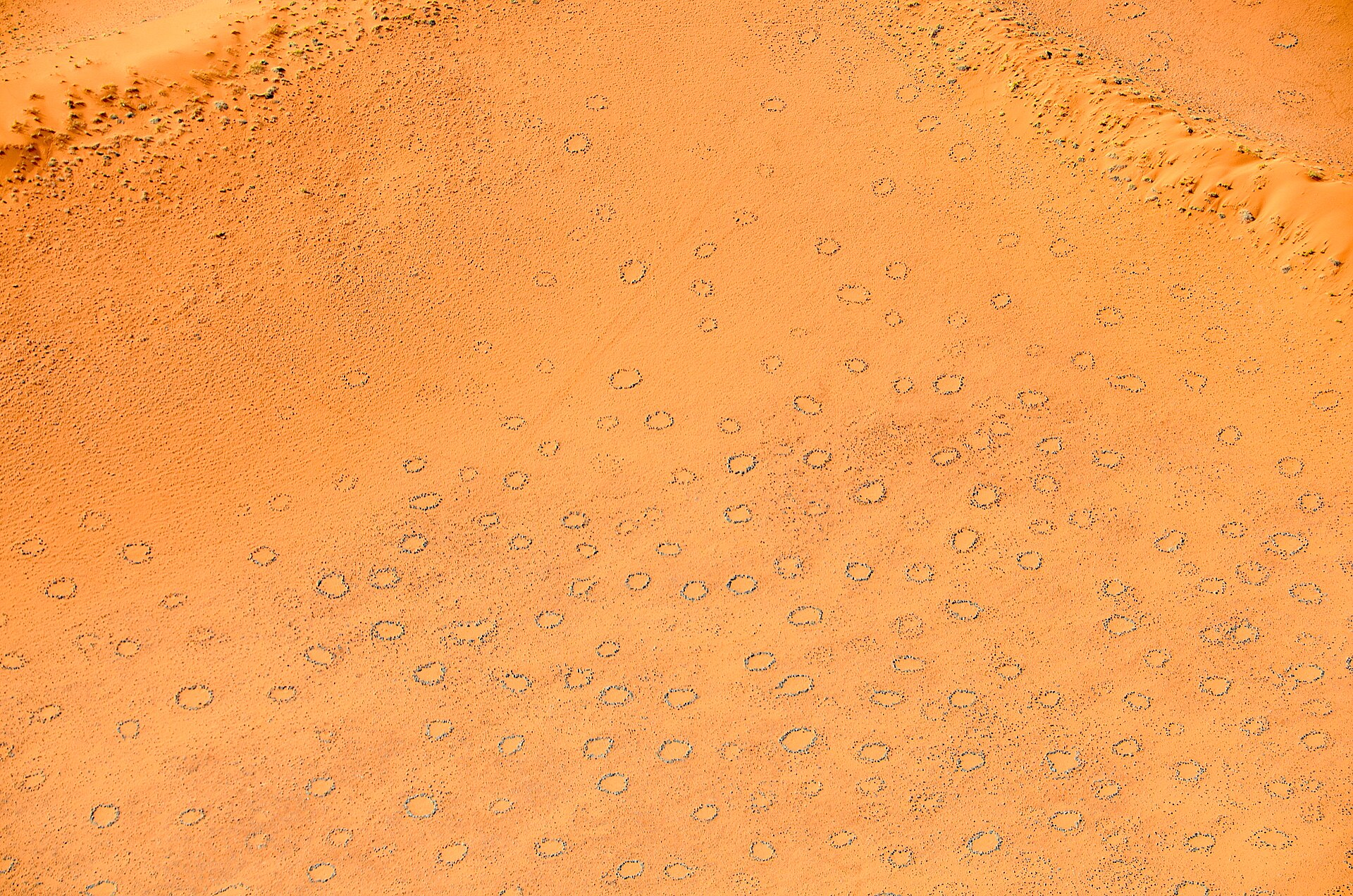 fairy circles Namibia
