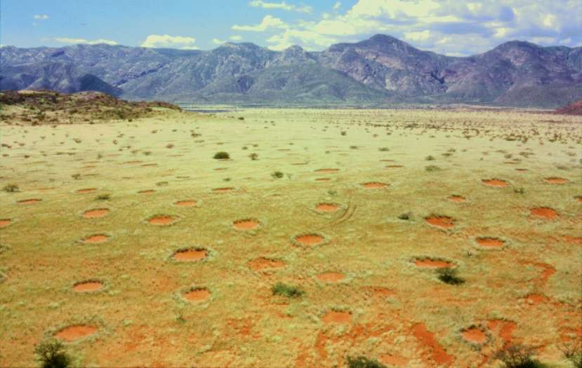 fairy circles Namibia