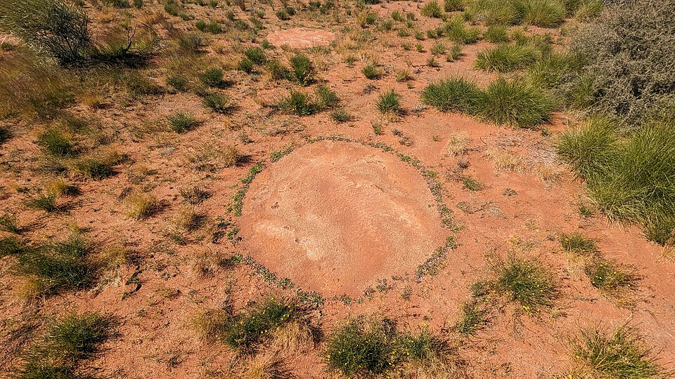 fairy circles Namibia