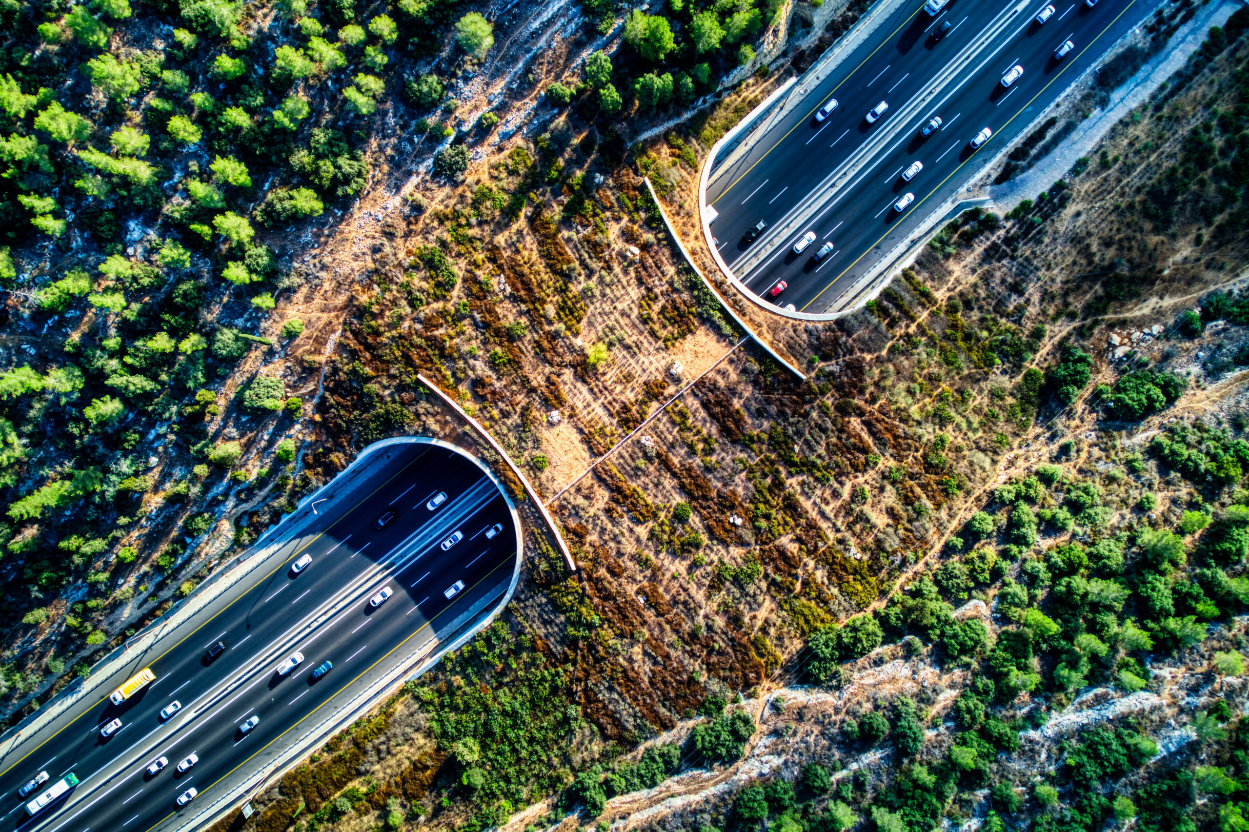 17 Tunnels You Can Walk Through and Why Each One Was Cut