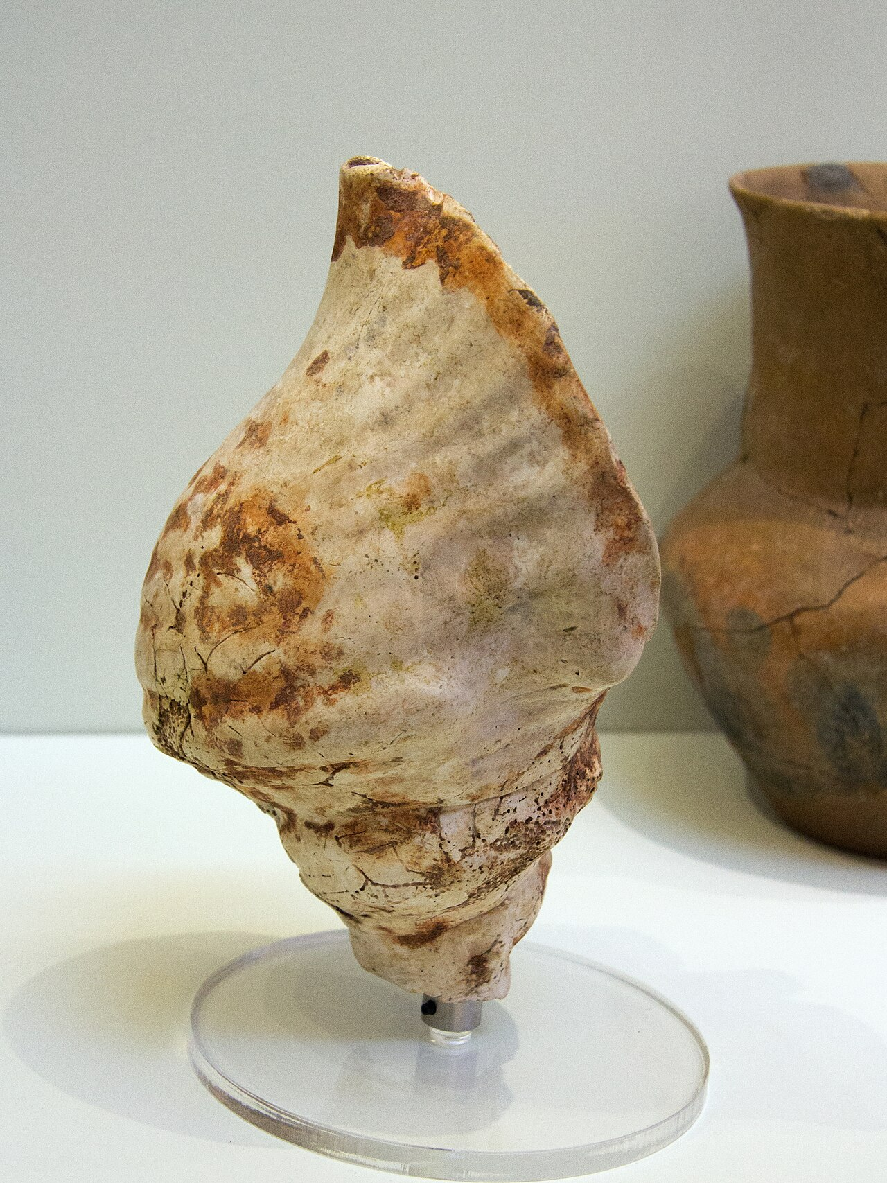 Artifact 