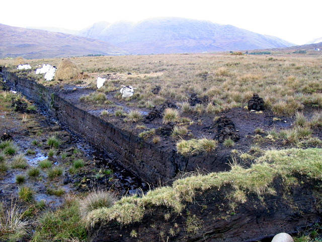peat bog landscape