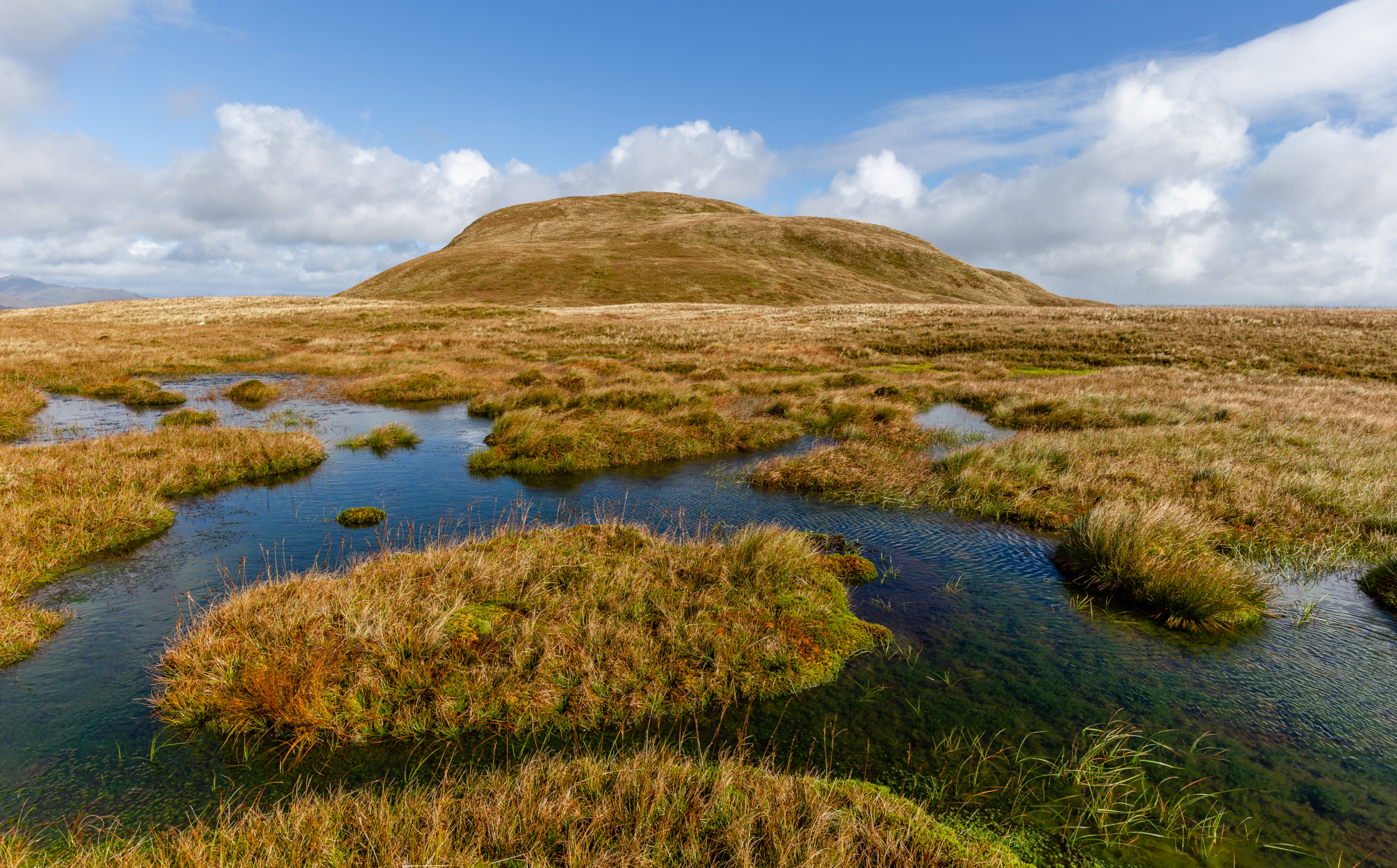 peat bog landscape
