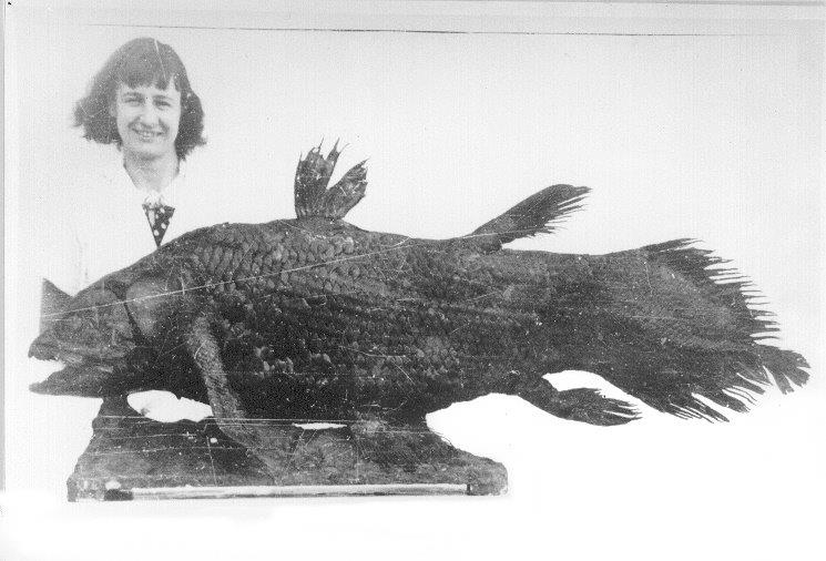Coelacanth