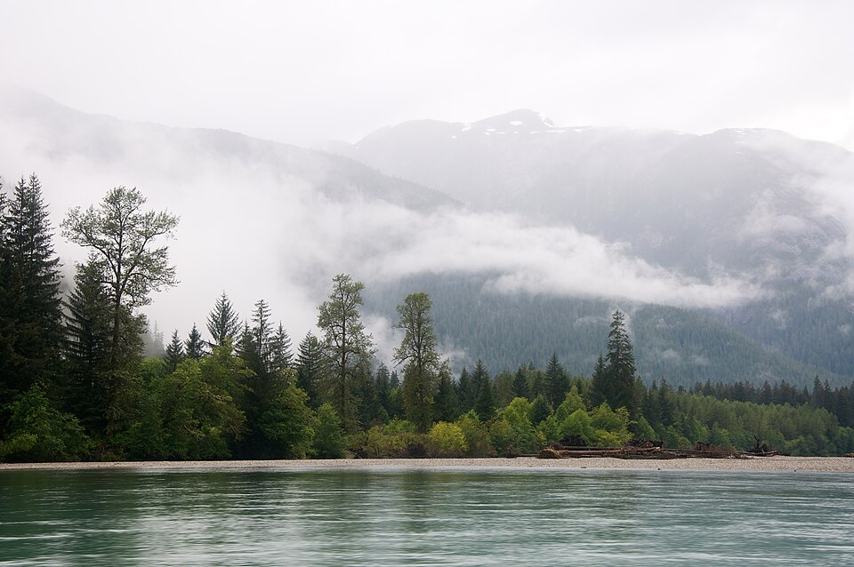 Great Bear Rainforest