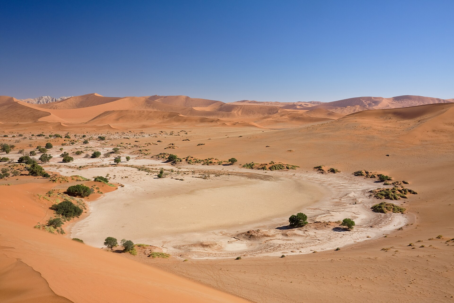 Namib