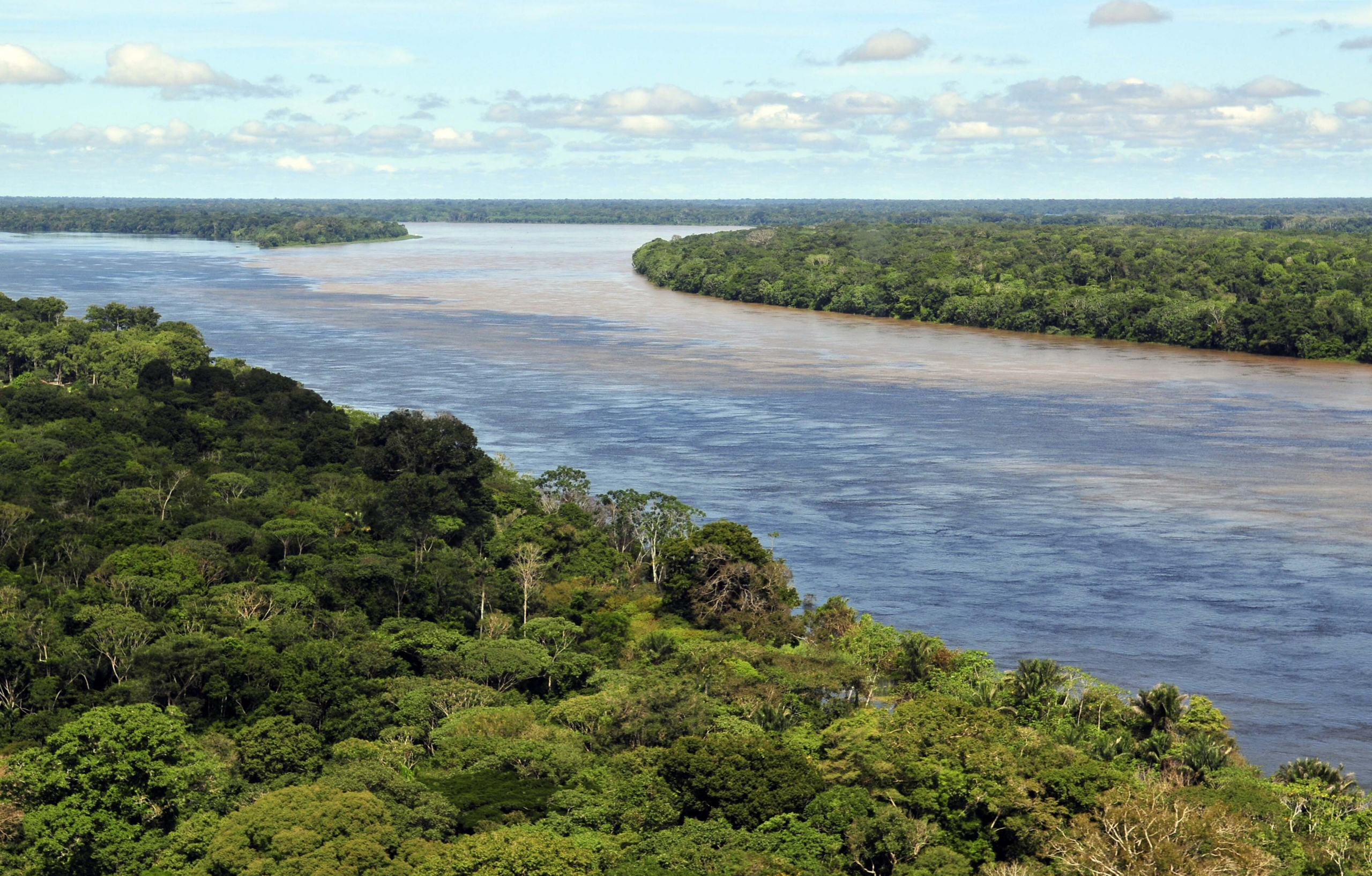Amazon River aerial rainforest