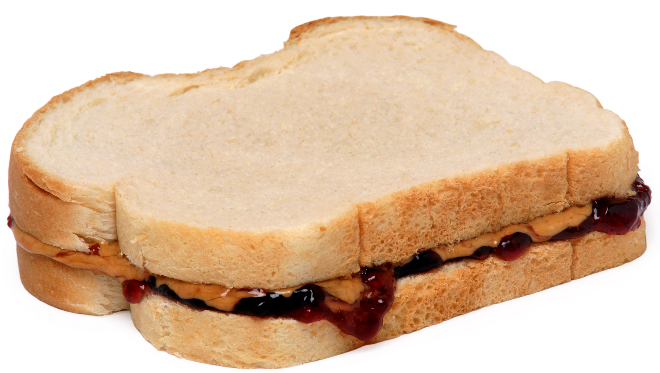 A Peanut Butter and Jelly Sandwich