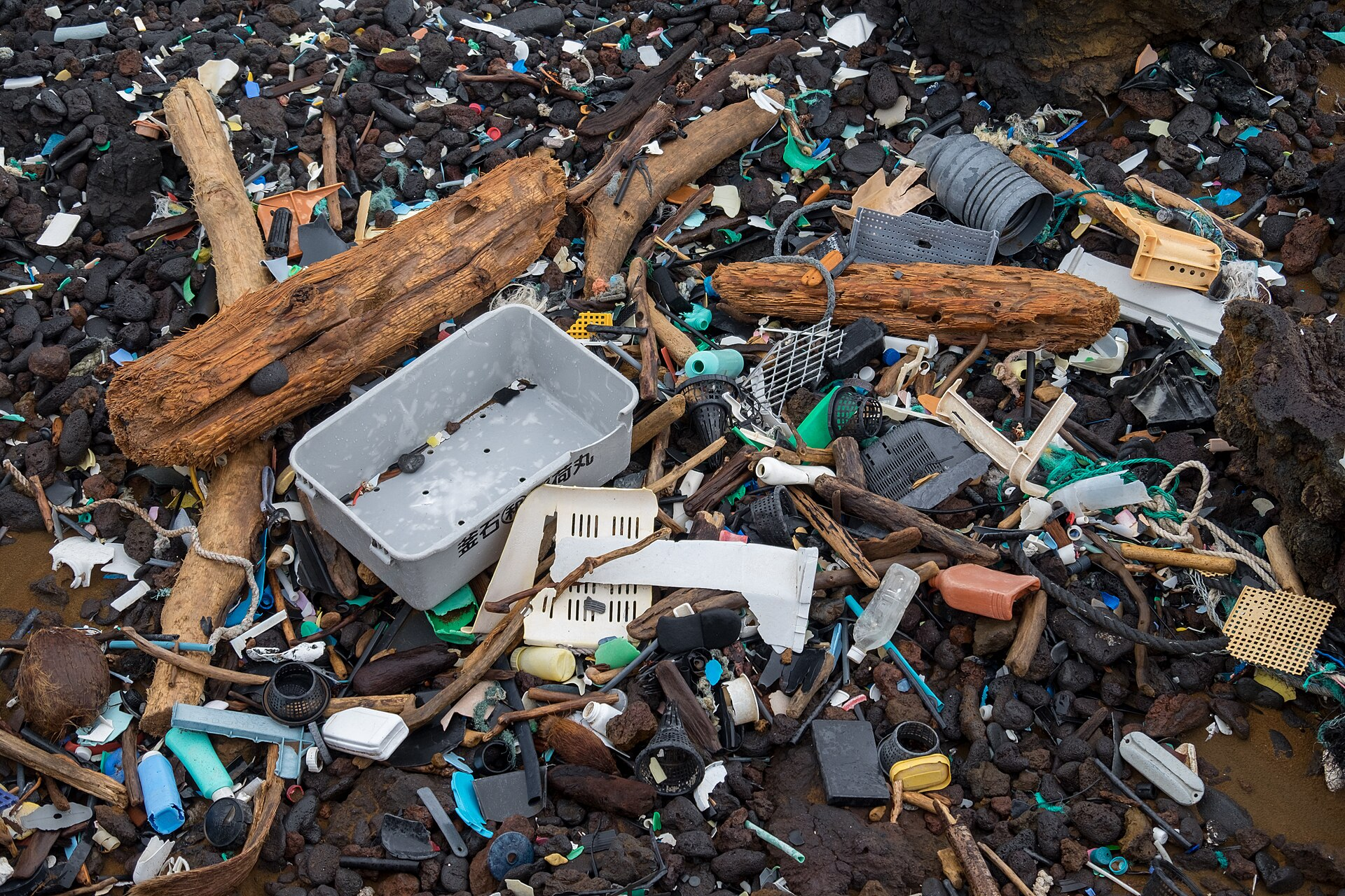 Garbage Patch