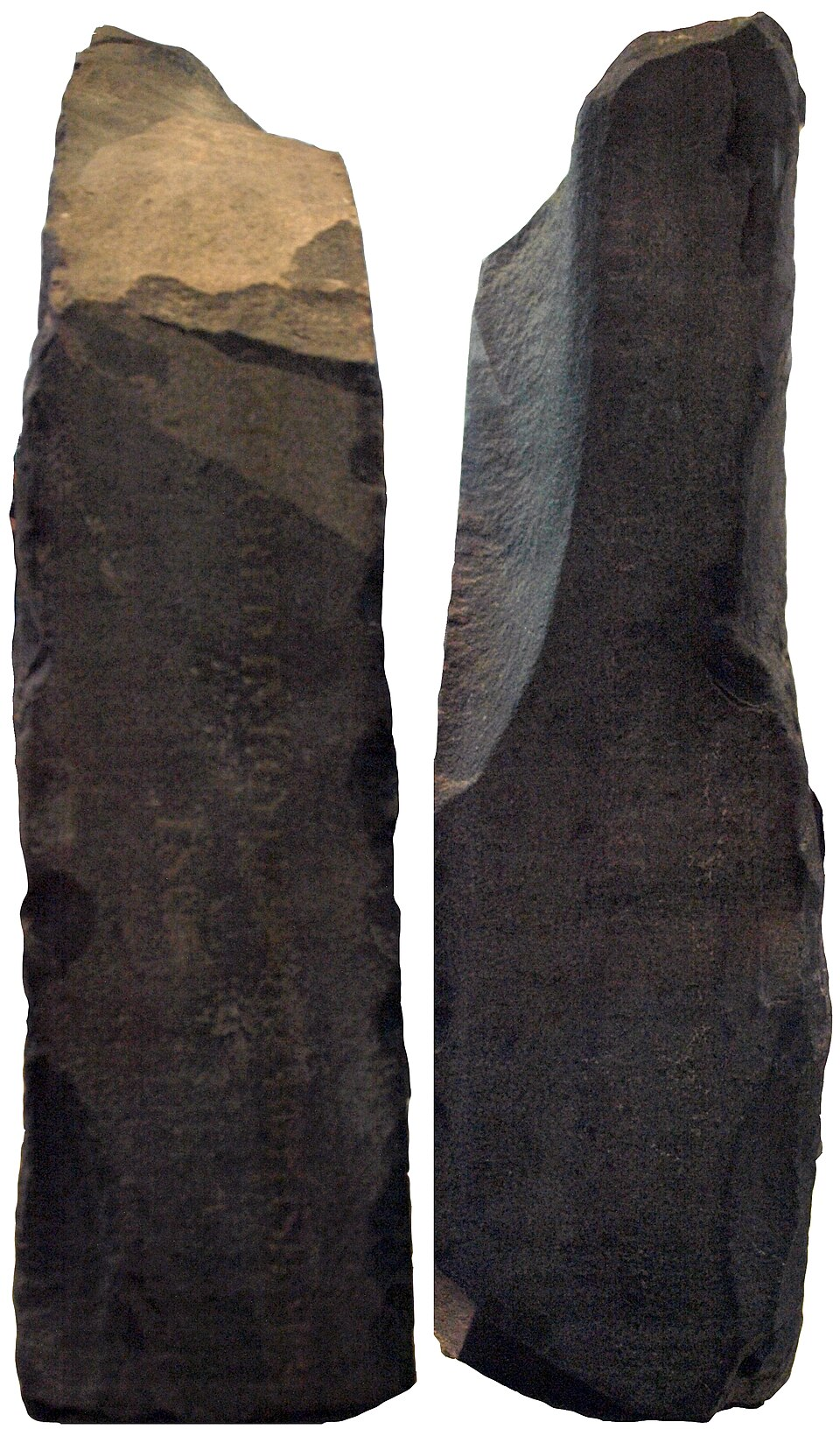Rosetta Stone