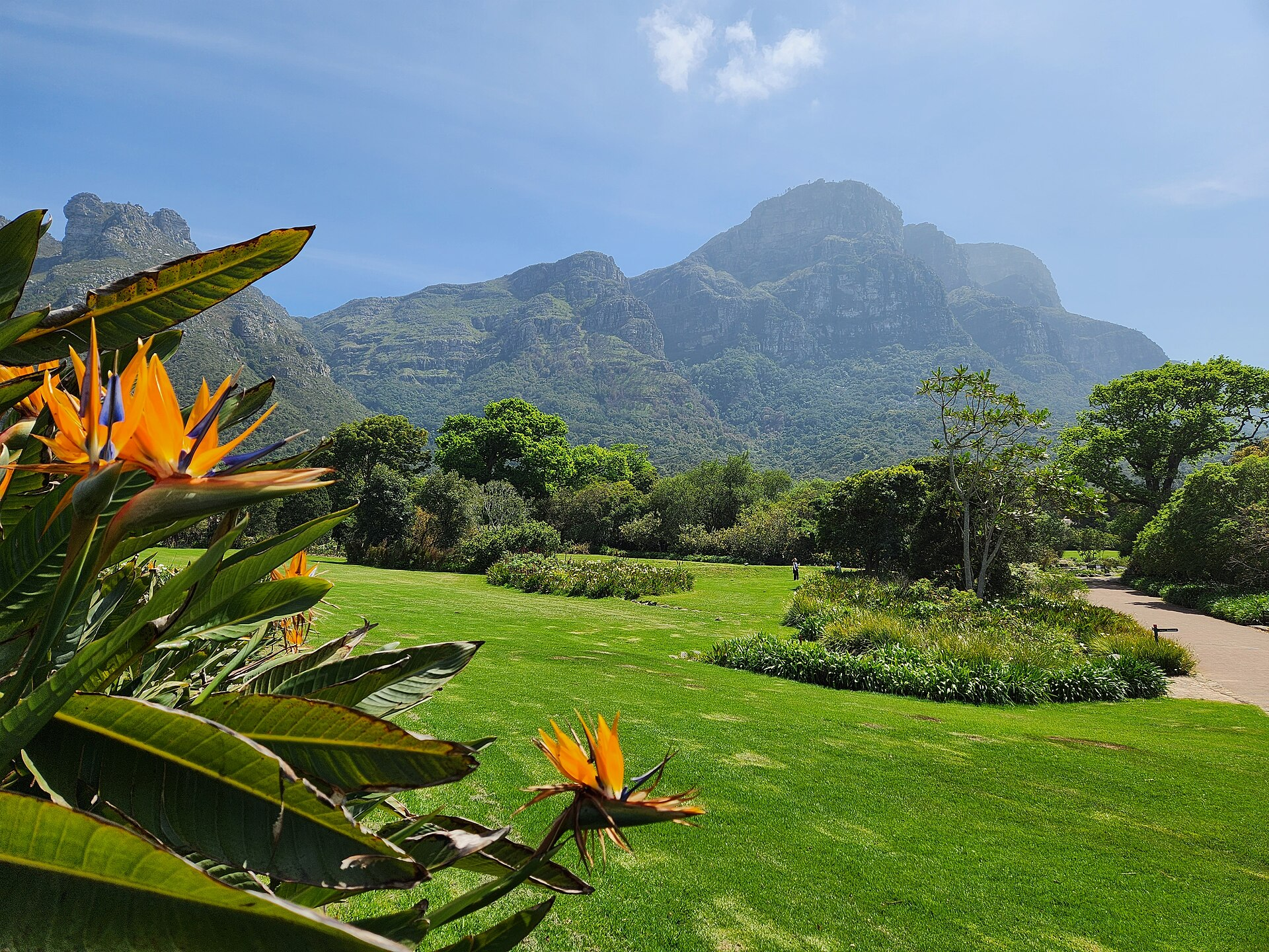 Kirstenbosch