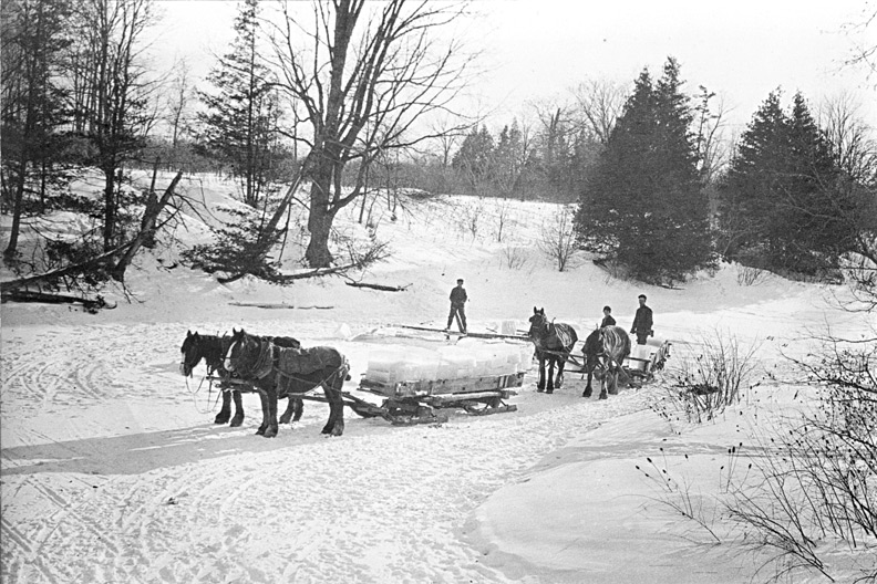 Ice Cutter and Ice Delivery