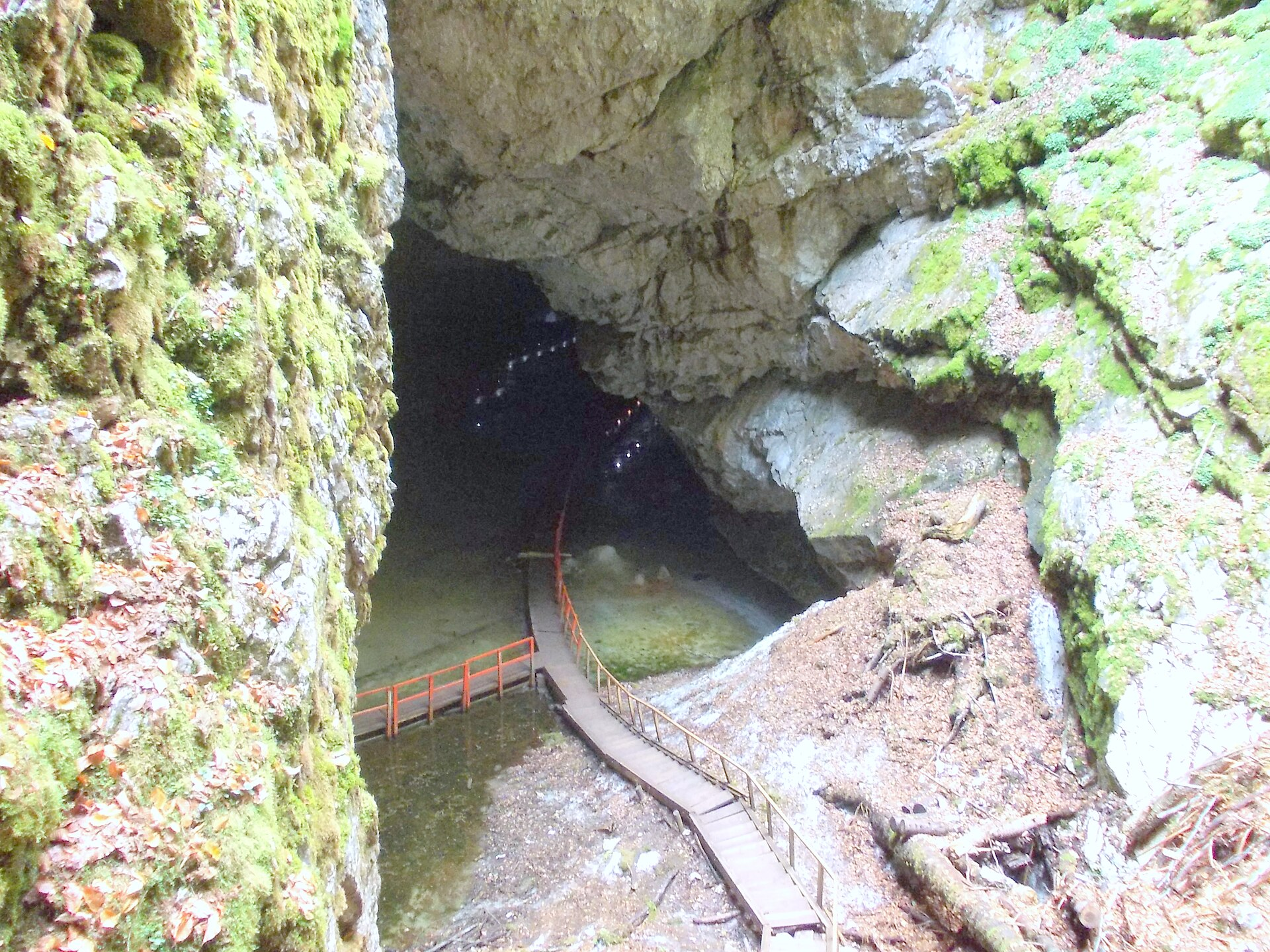 Limestone cave