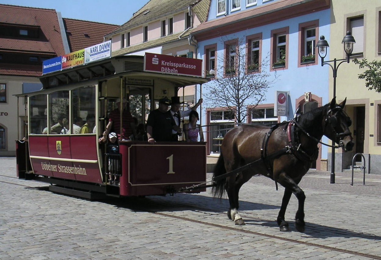 horse carriage
