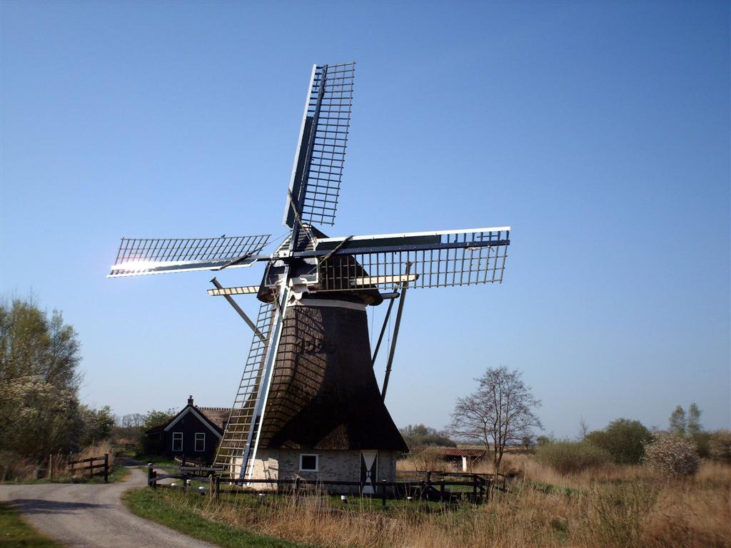 De Gooyer, Amsterdam
