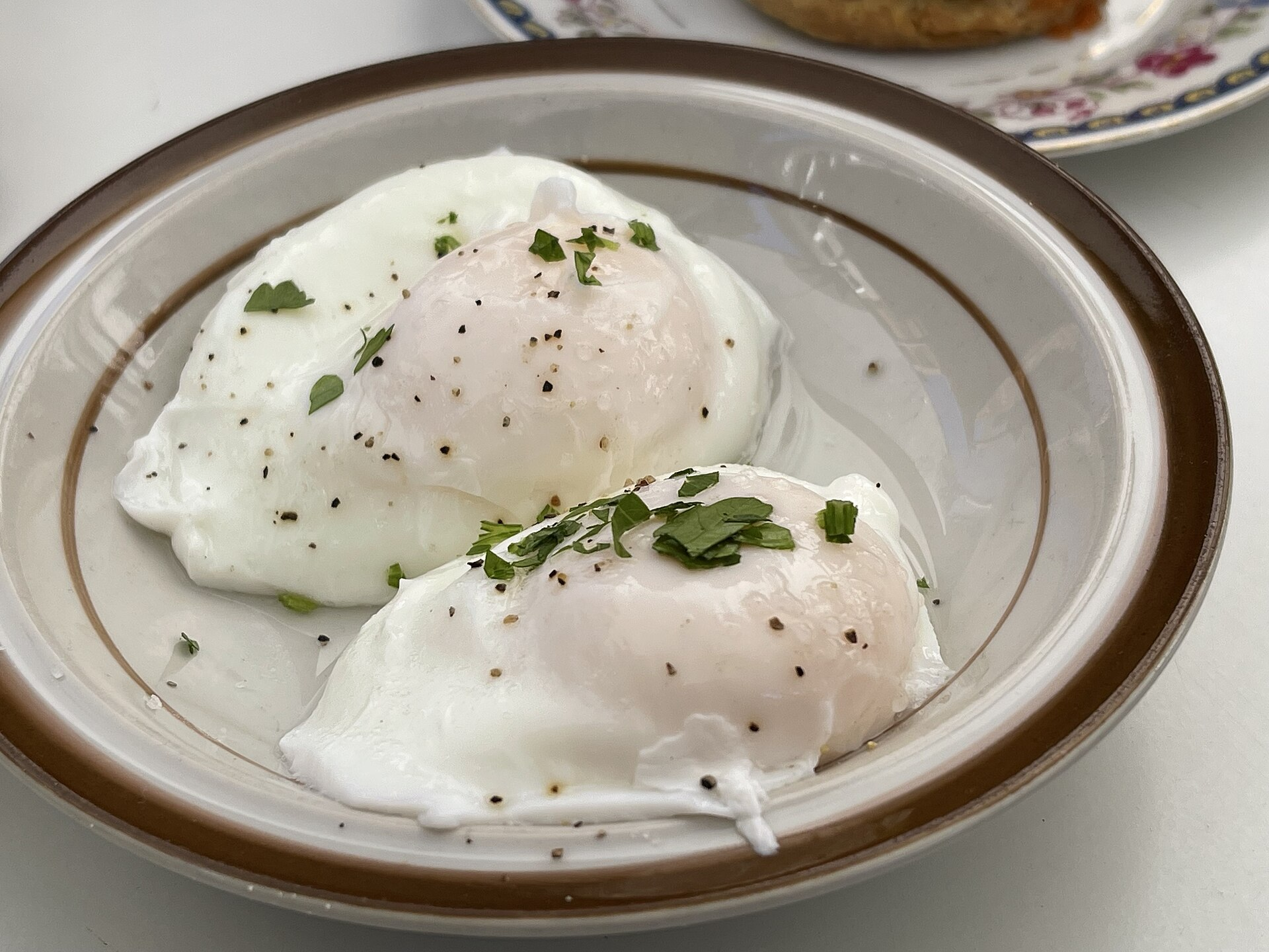 eggs