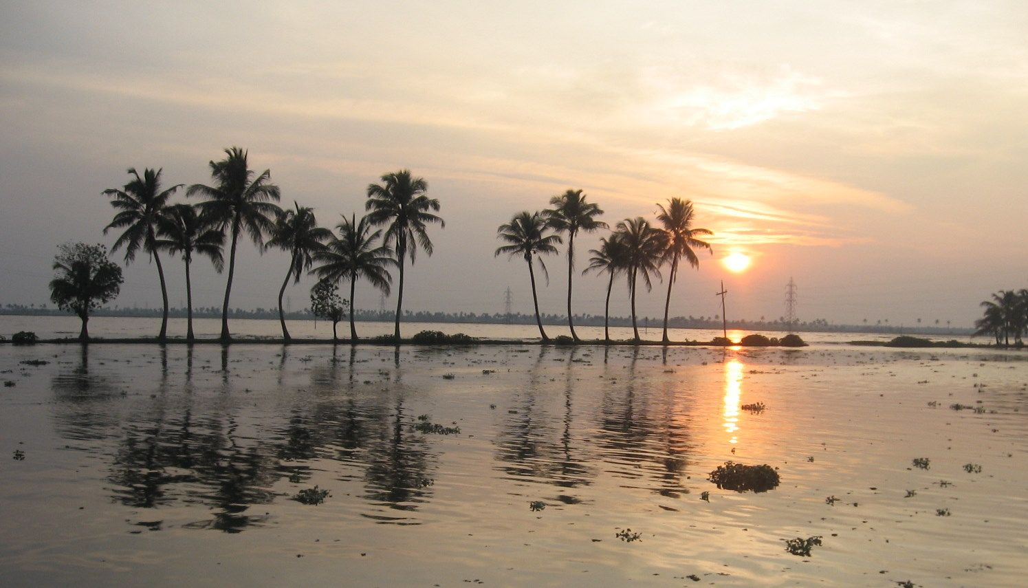 Backwaters of Kerala