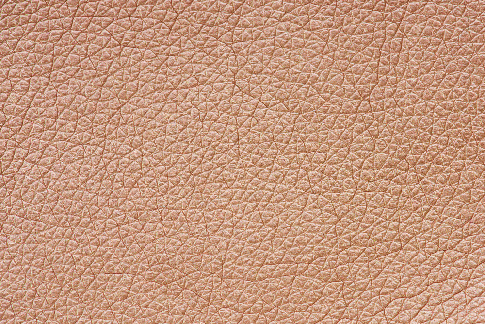 human skin