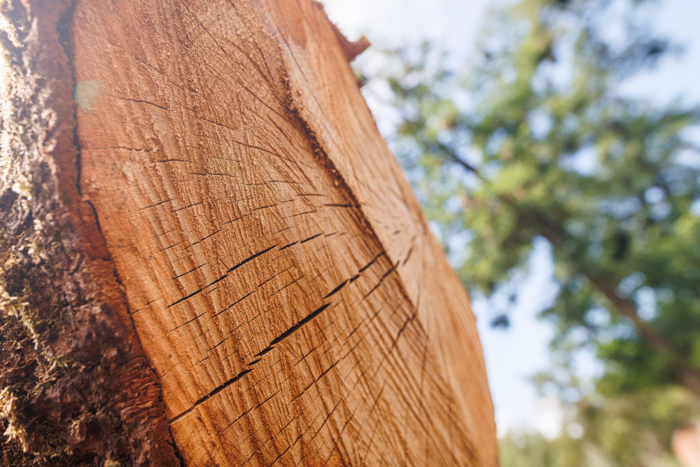 Wood