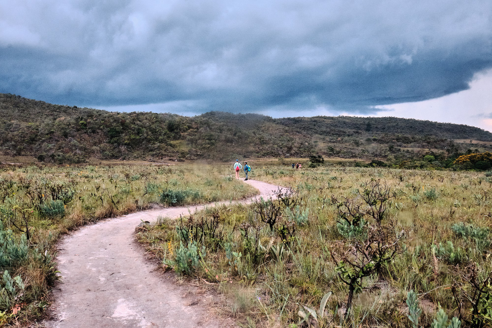 ancient track path