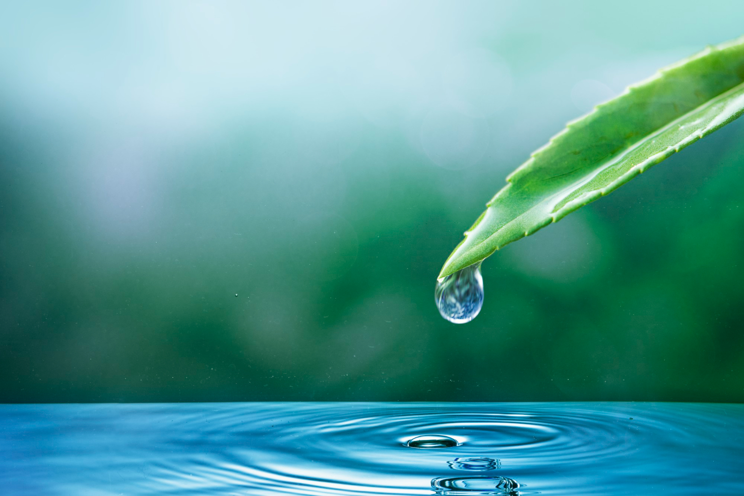 Water