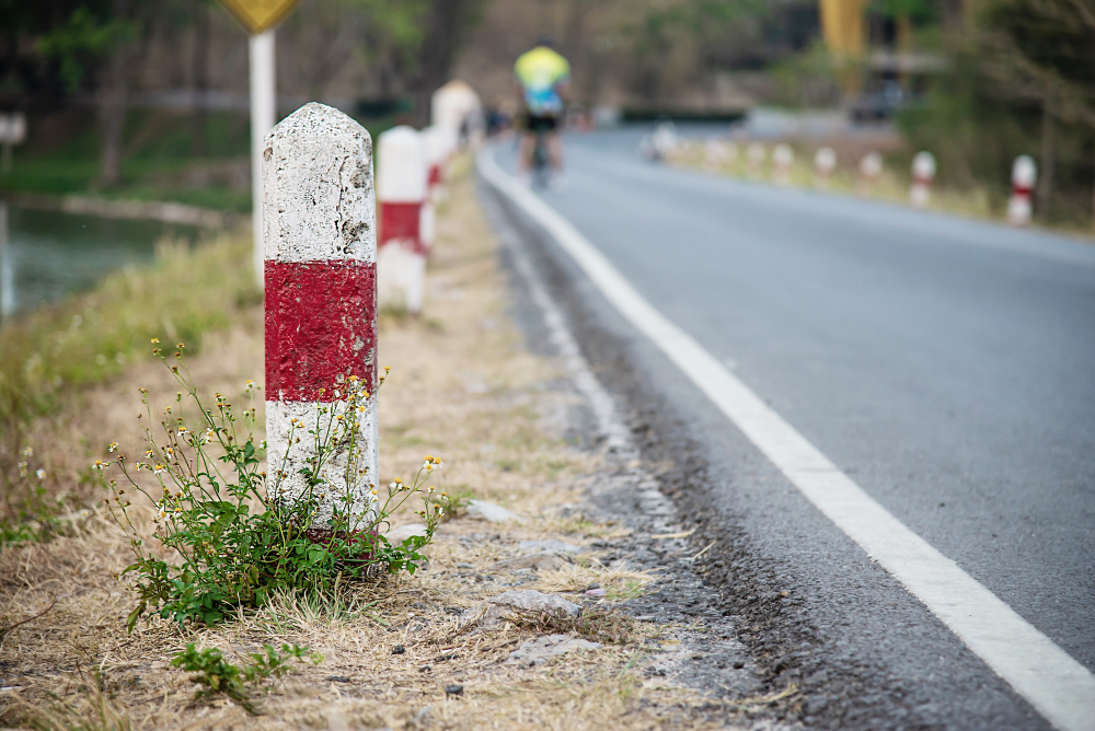 milestone roadside