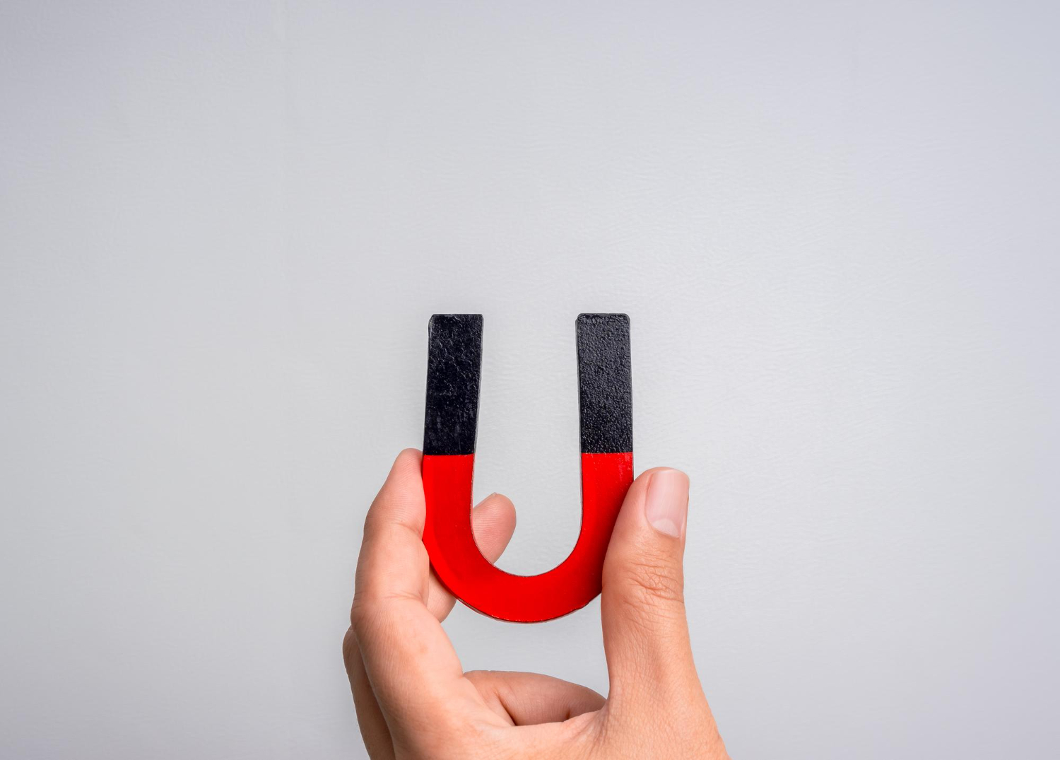magnet