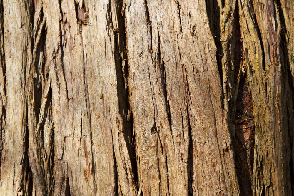 Wood