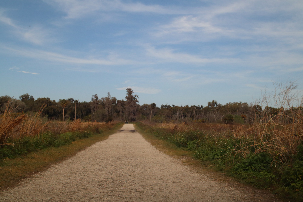 ancient track path