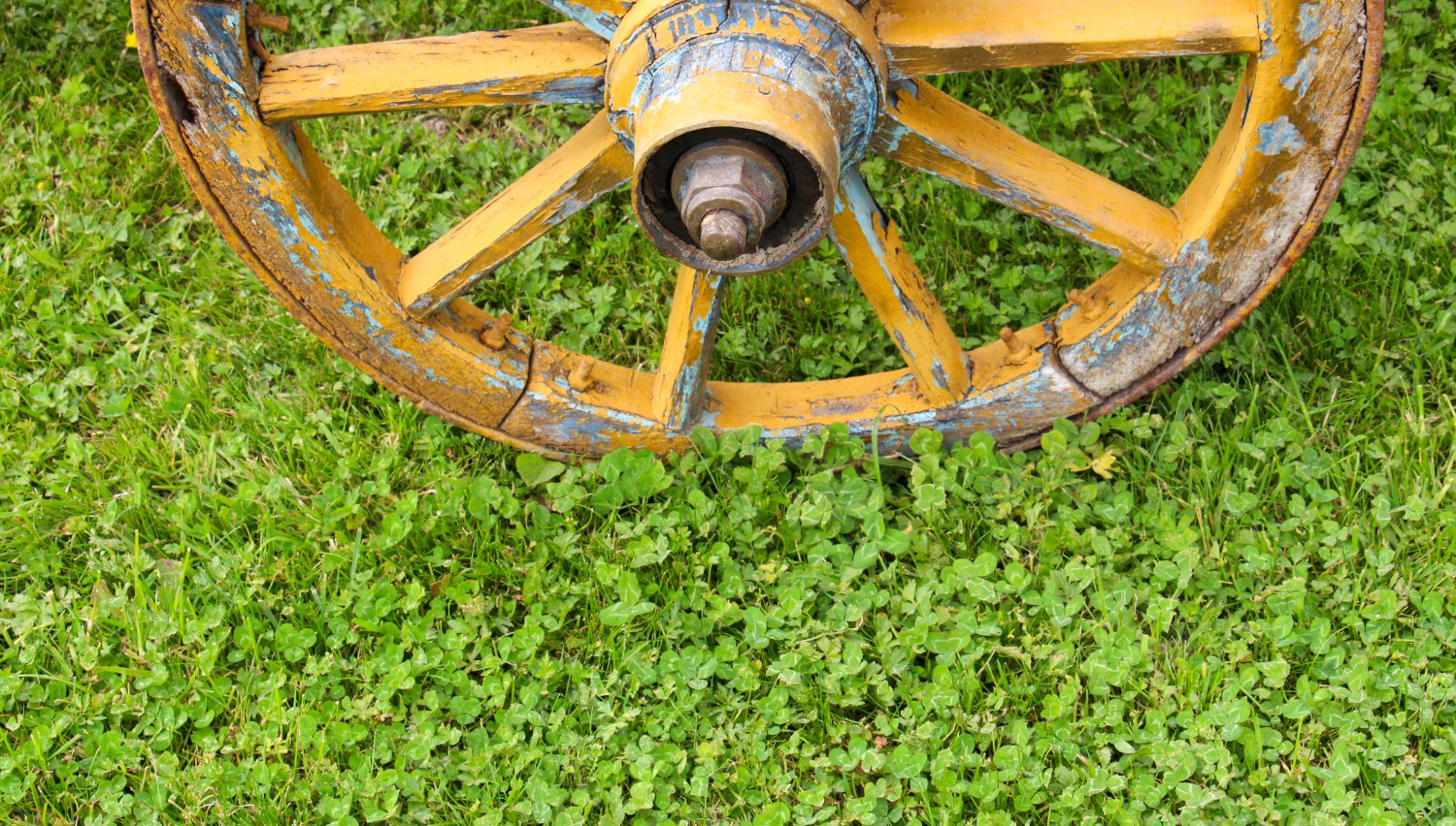 wooden wheel