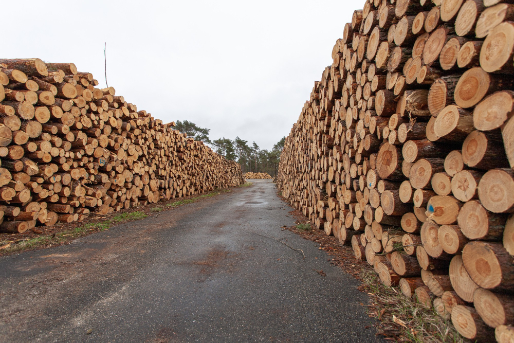Wood