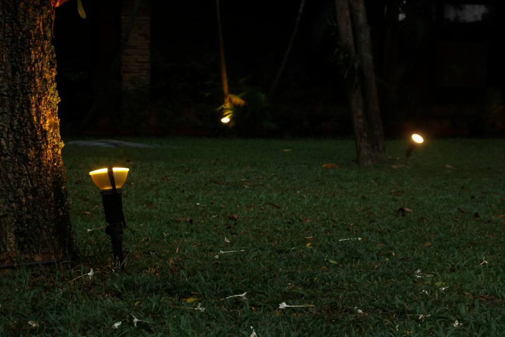 garden at night
