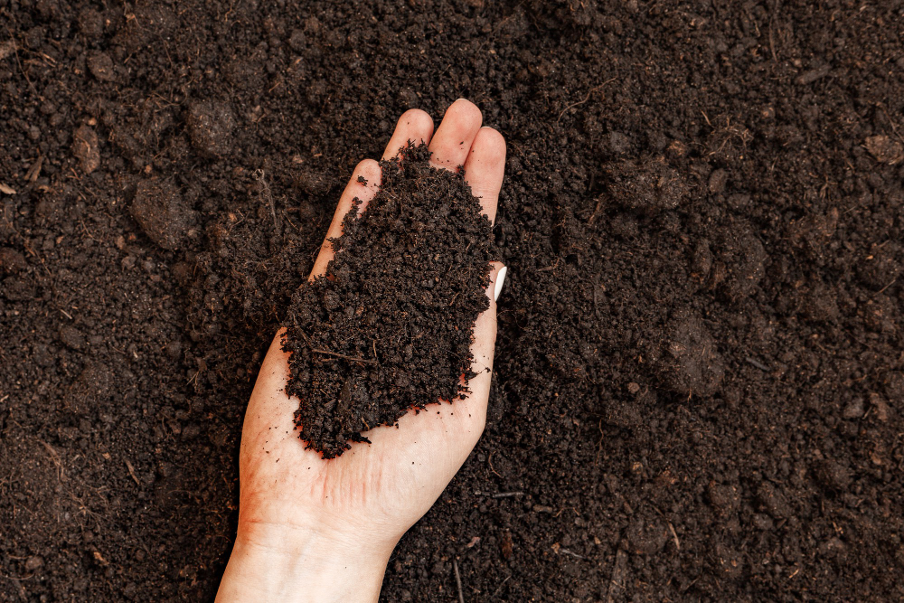 Soil