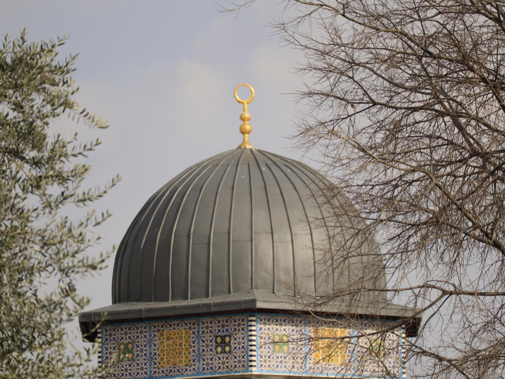 Dome