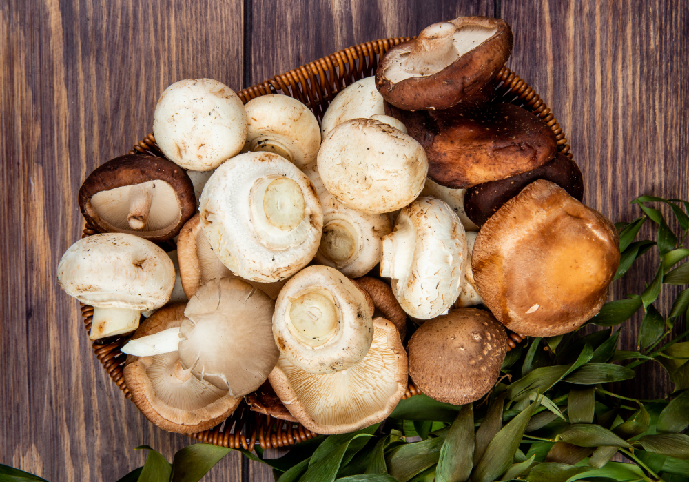 Mushroom