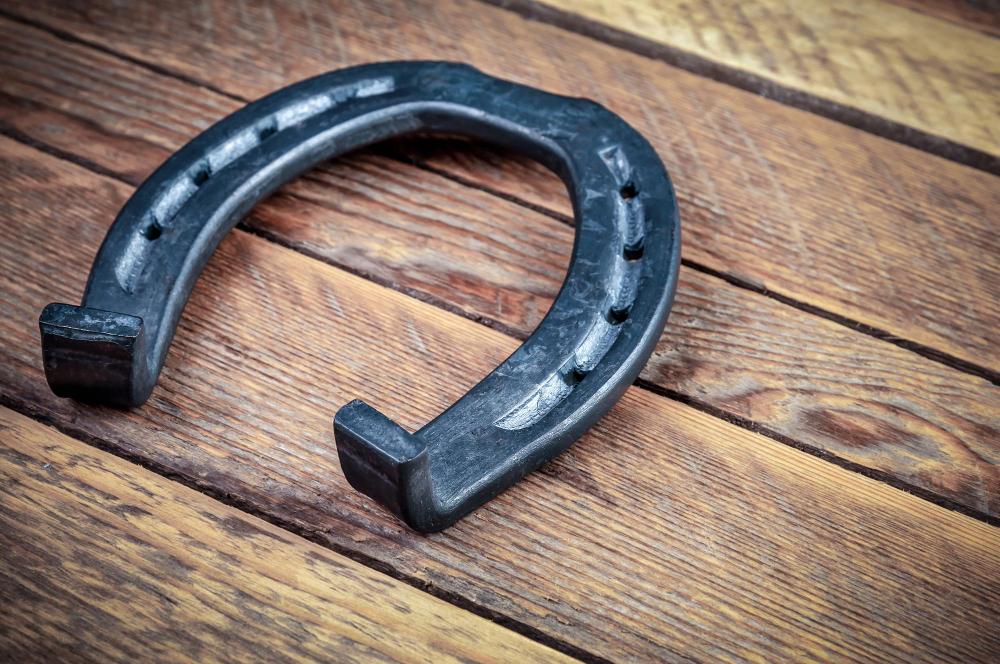 horseshoe
