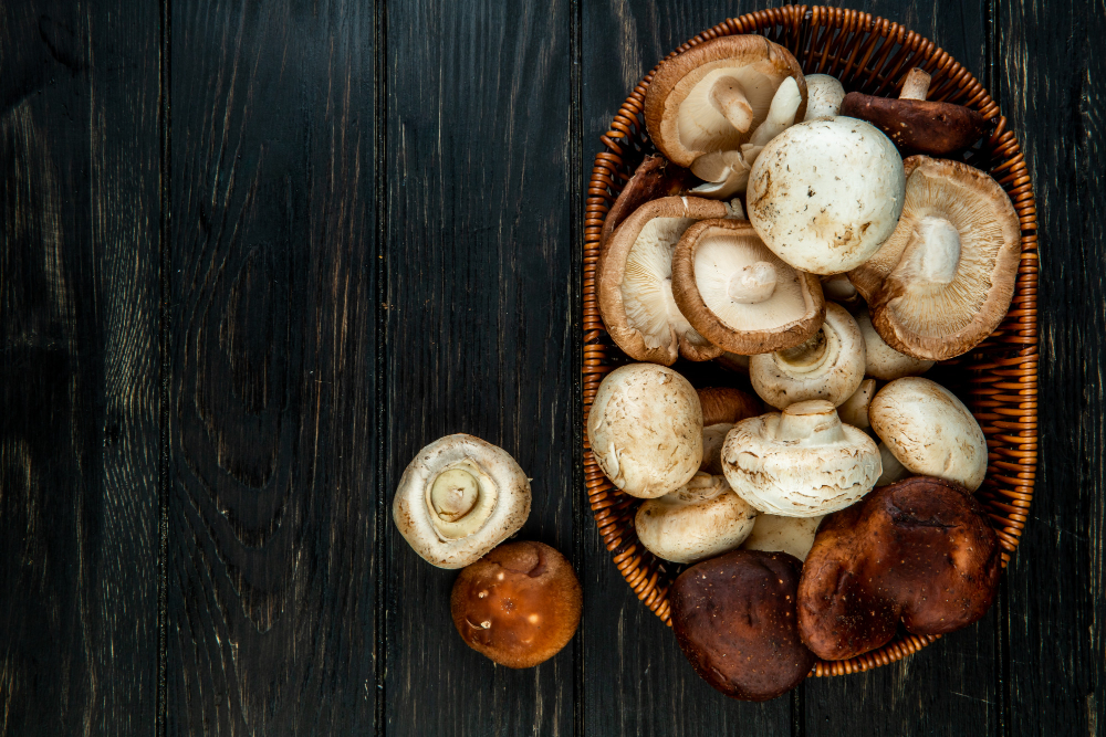 Mushroom
