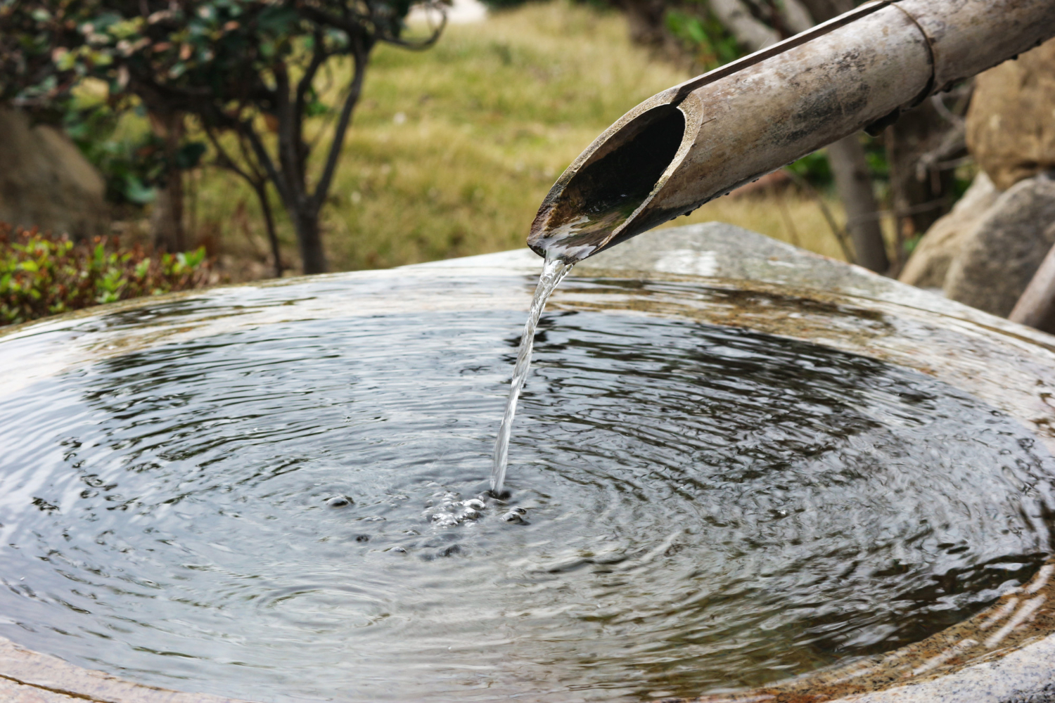 water pump