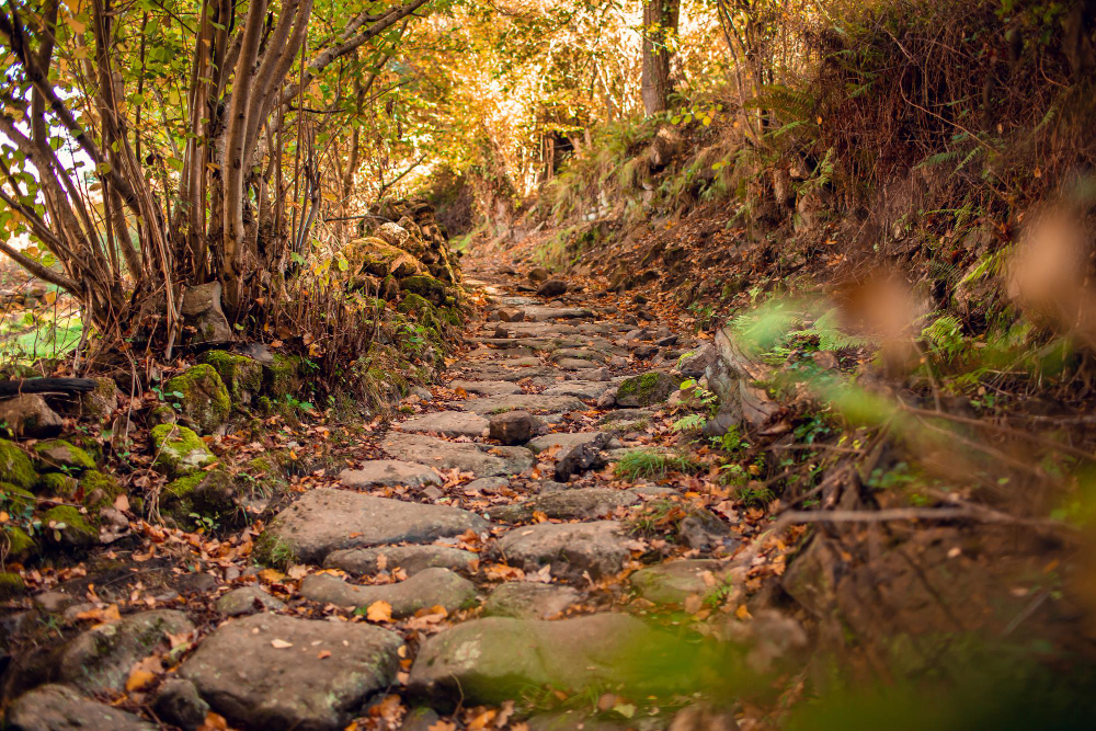 ancient track path