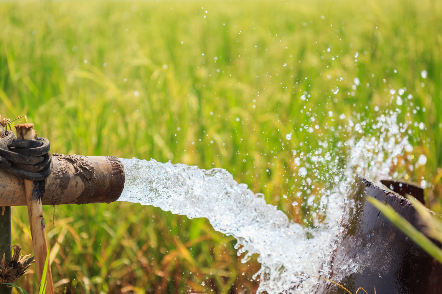 water pump