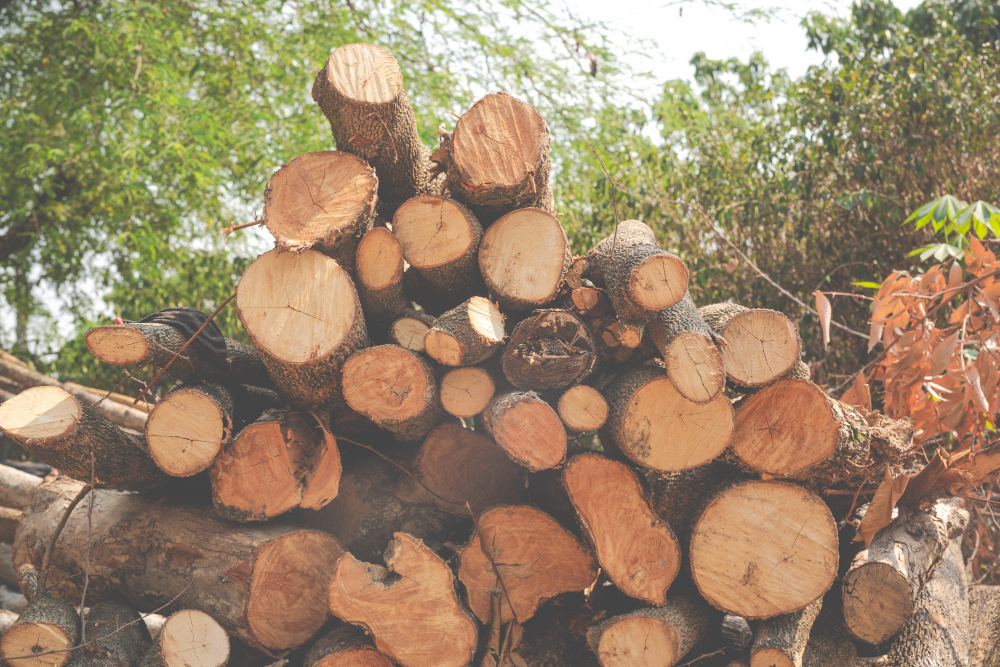 Wood