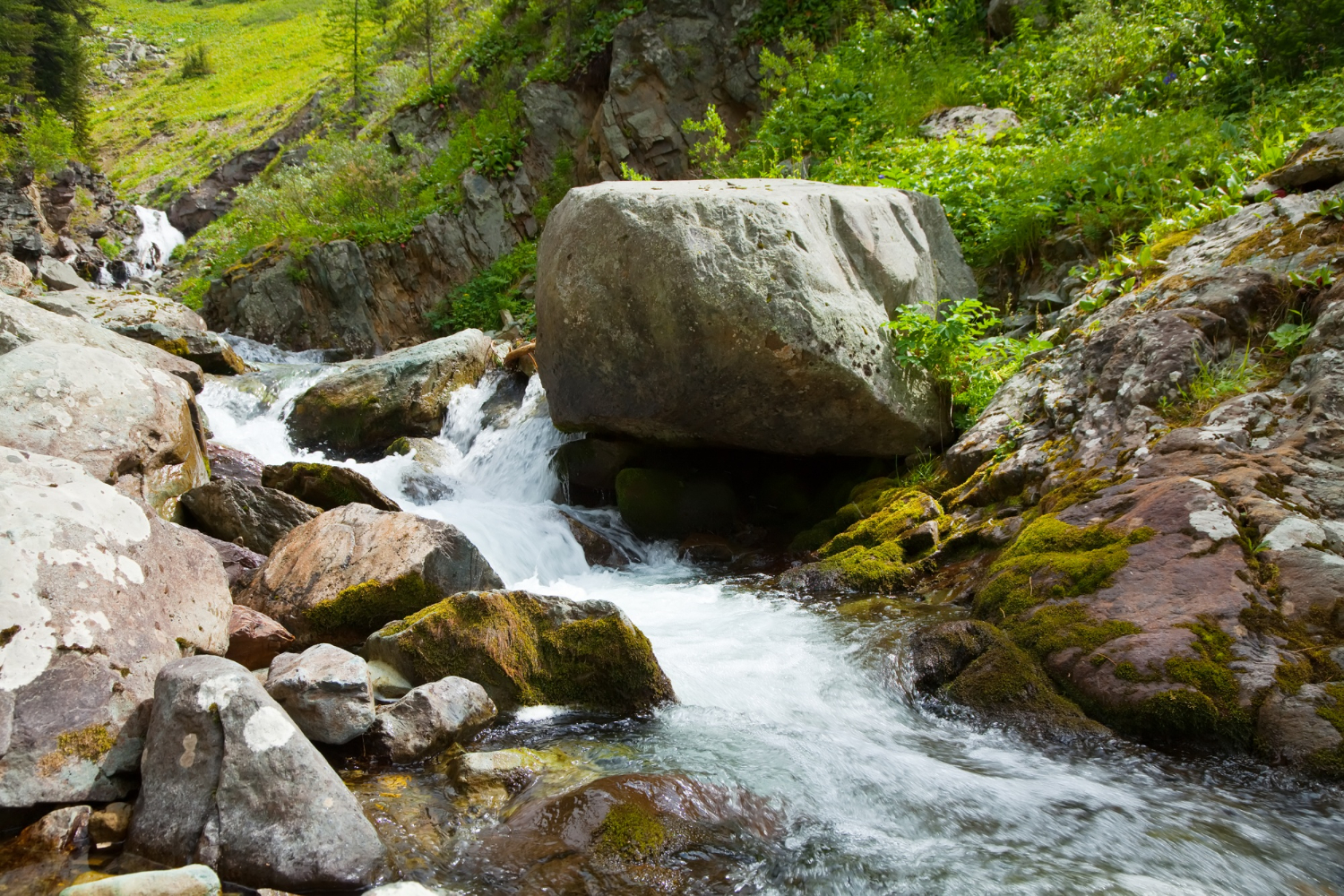 natural spring water