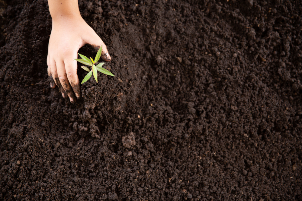 Soil