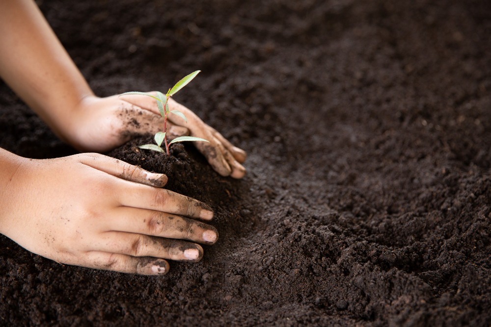 Soil