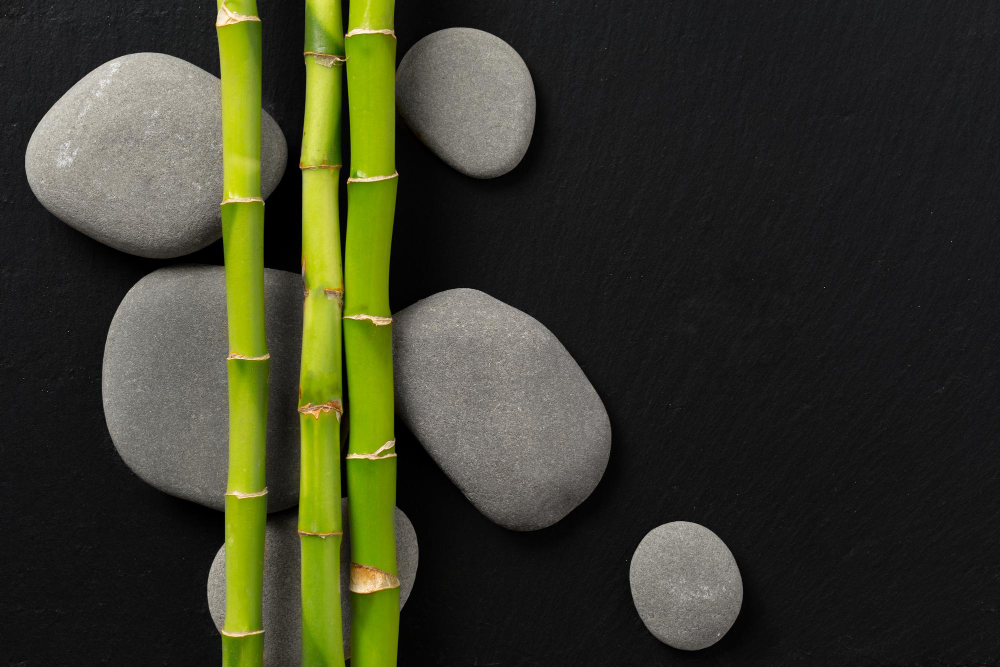 Bamboo
