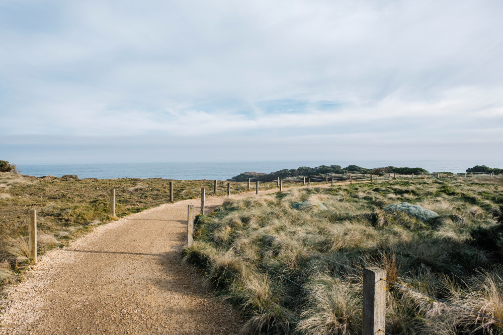 coastal path