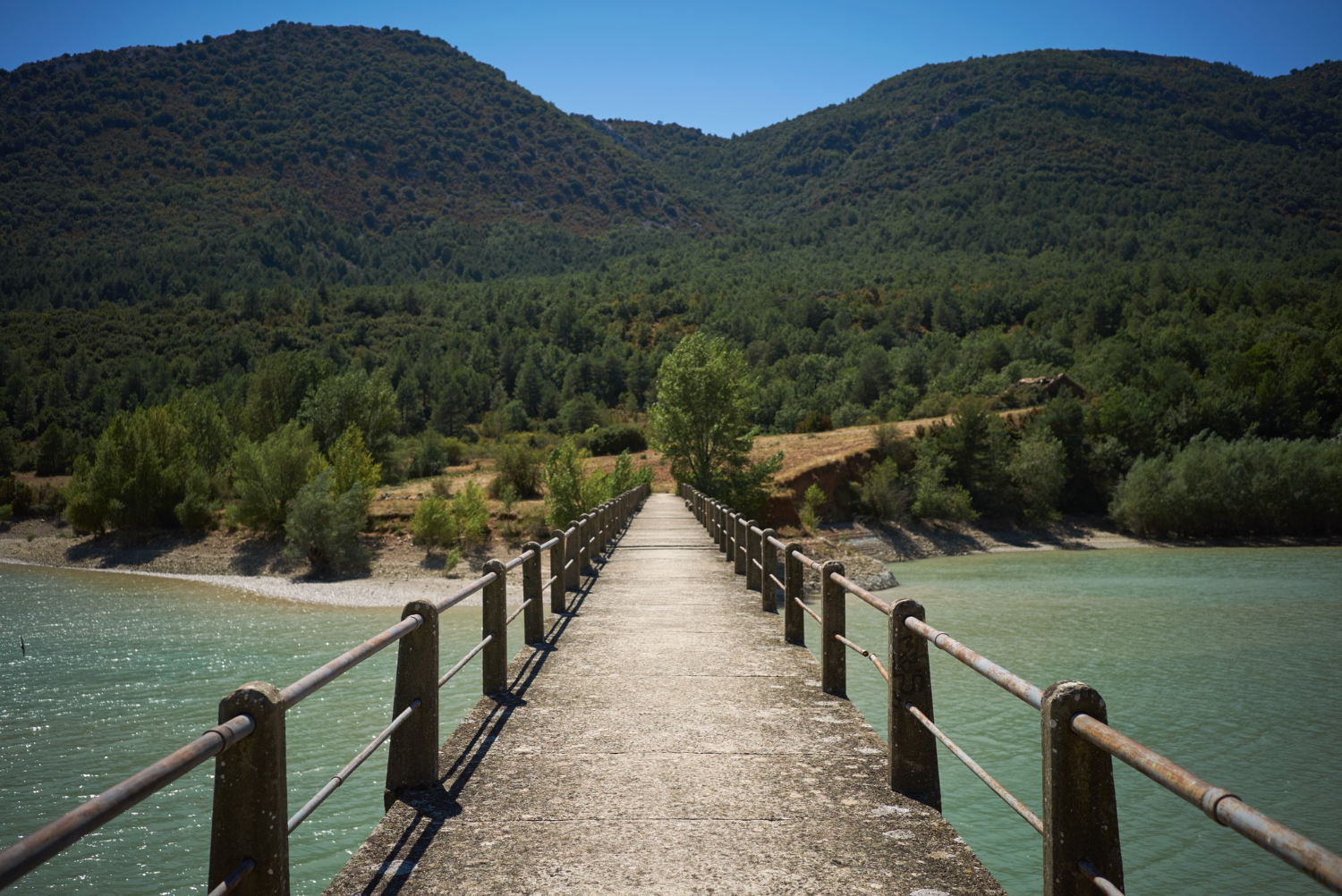 VIewpoint