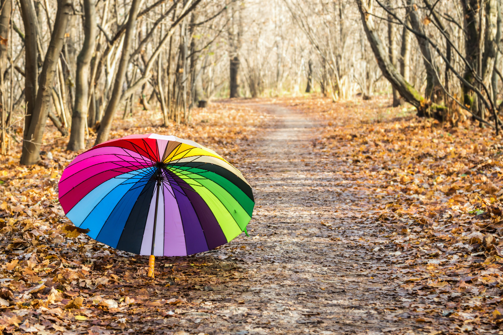 umbrella