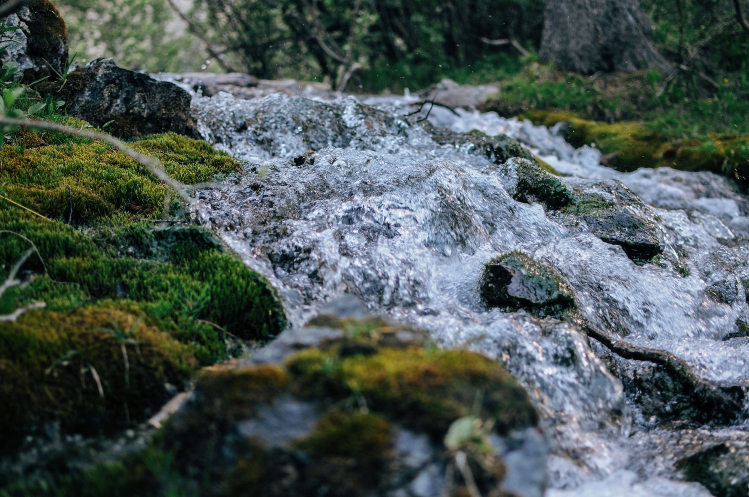 14 Reasons Water Comes Out of the Ground Where It Does