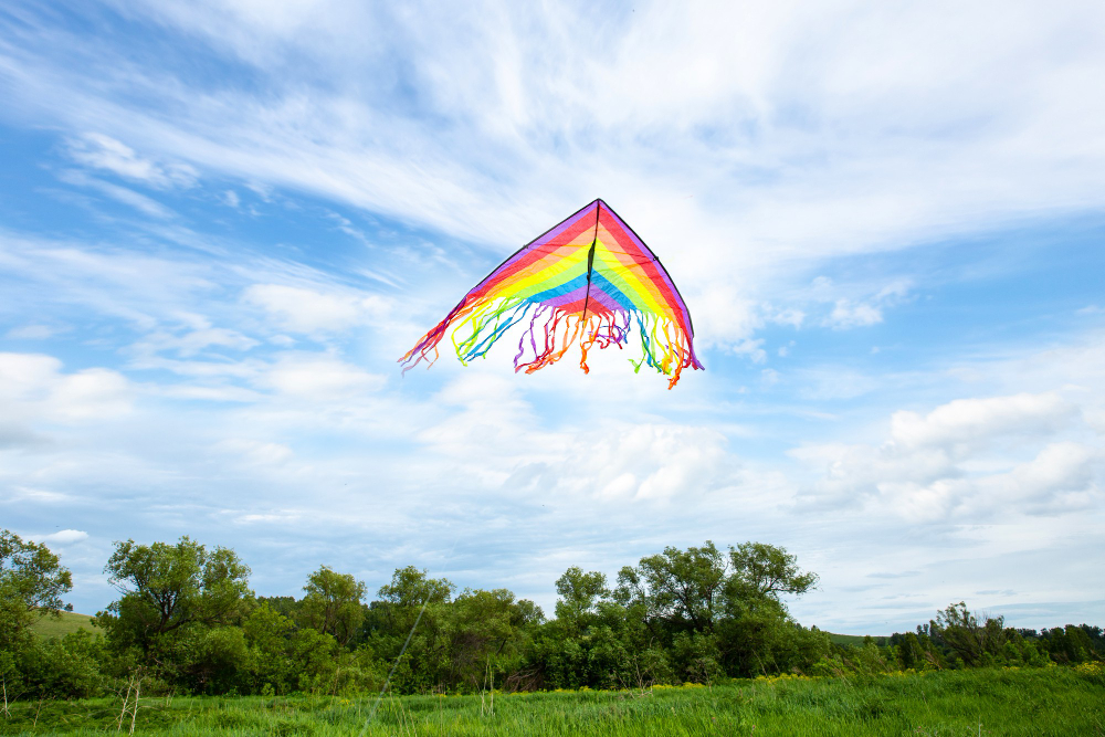 Kite